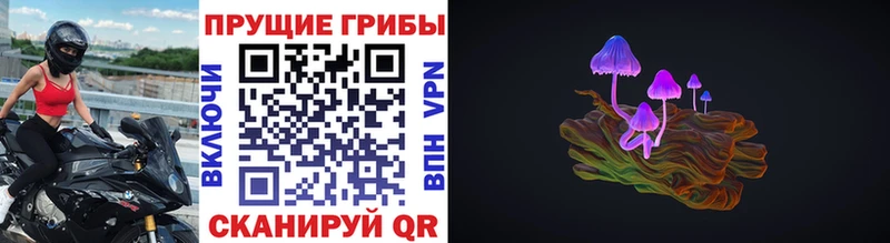 Псилоцибиновые грибы мухоморы  Выборг 