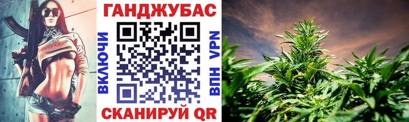 Каннабис сатива сайты даркнета состав Выборг